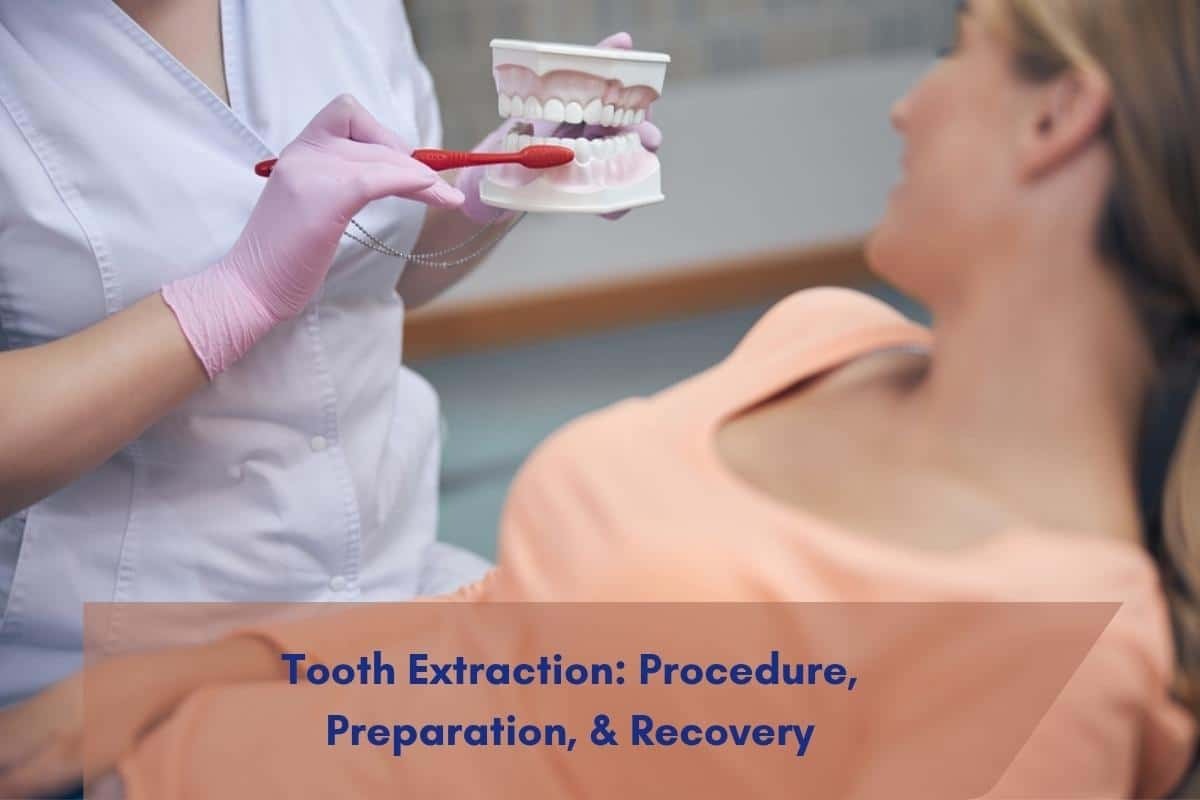 Dentist showing dental model with red probe to patient during tooth extraction consultation.